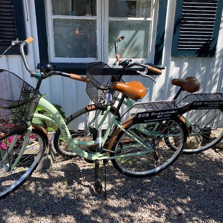 B&B Bland Ormbunkar Och Rosor Falkenberg Luaran gambar