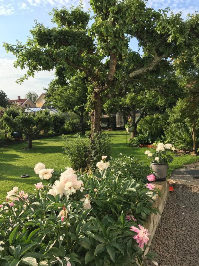 B&B Bland Ormbunkar Och Rosor Falkenberg Luaran gambar