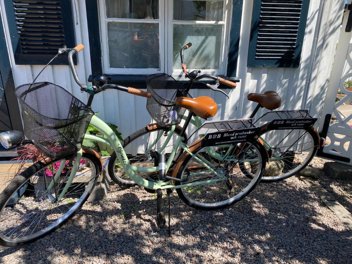 B&B Bland Ormbunkar Och Rosor Falkenberg Luaran gambar