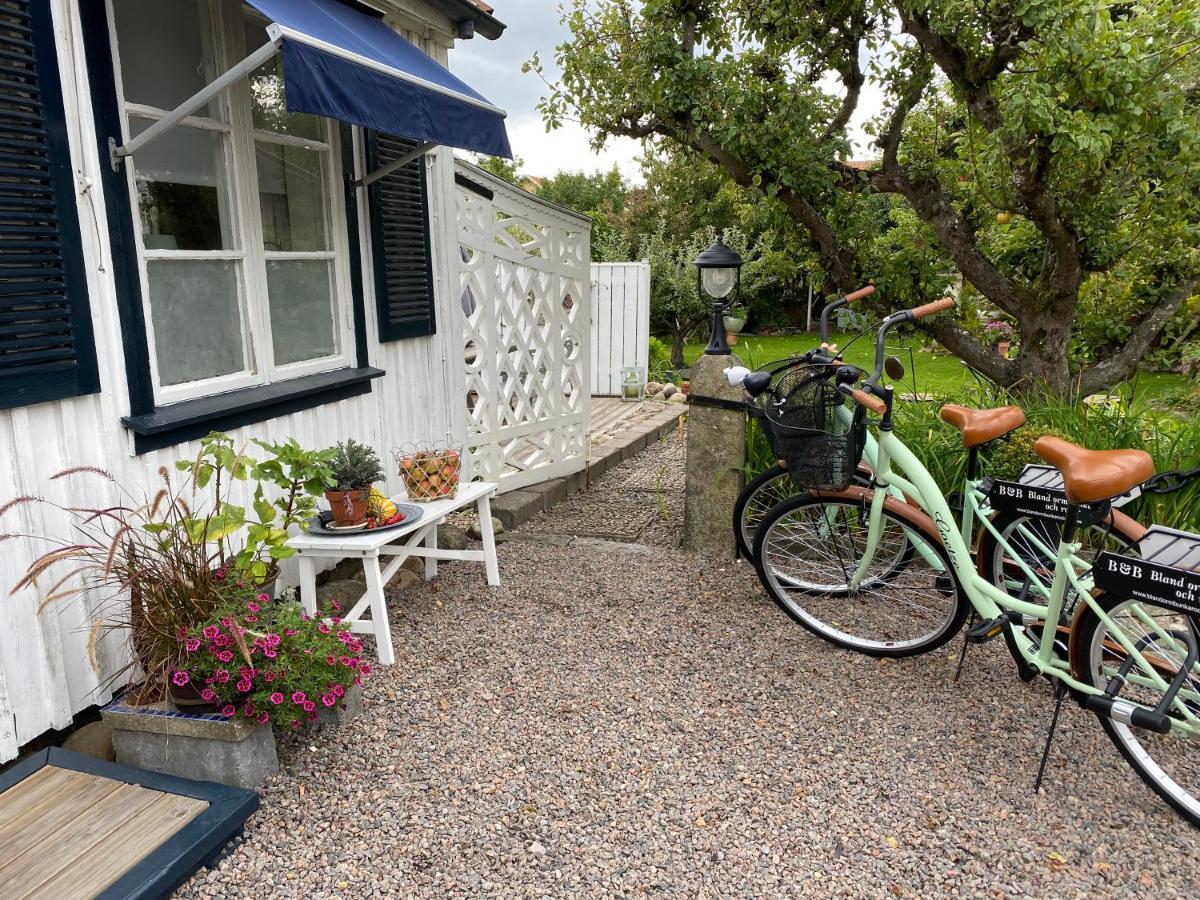 B&B Bland Ormbunkar Och Rosor Falkenberg Luaran gambar